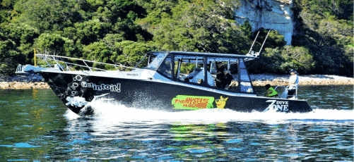 Mystery Machine Volvo Penta Repower